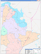 San Jacinto County Wall Map Color Cast Style